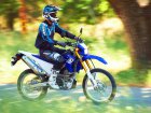 Yamaha WR 250R